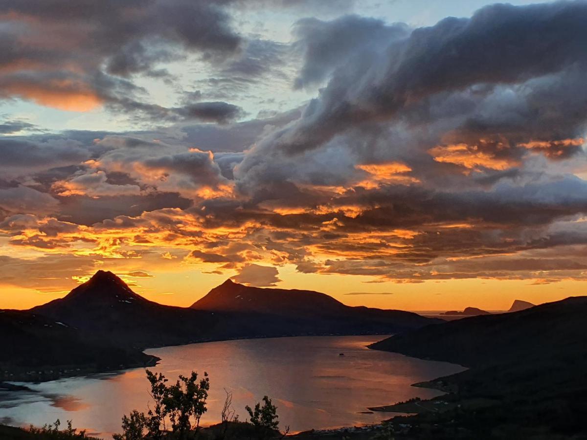Cabin Magic On Senja, Atmosphere Like A Fairytale Botnhamn Exterior foto